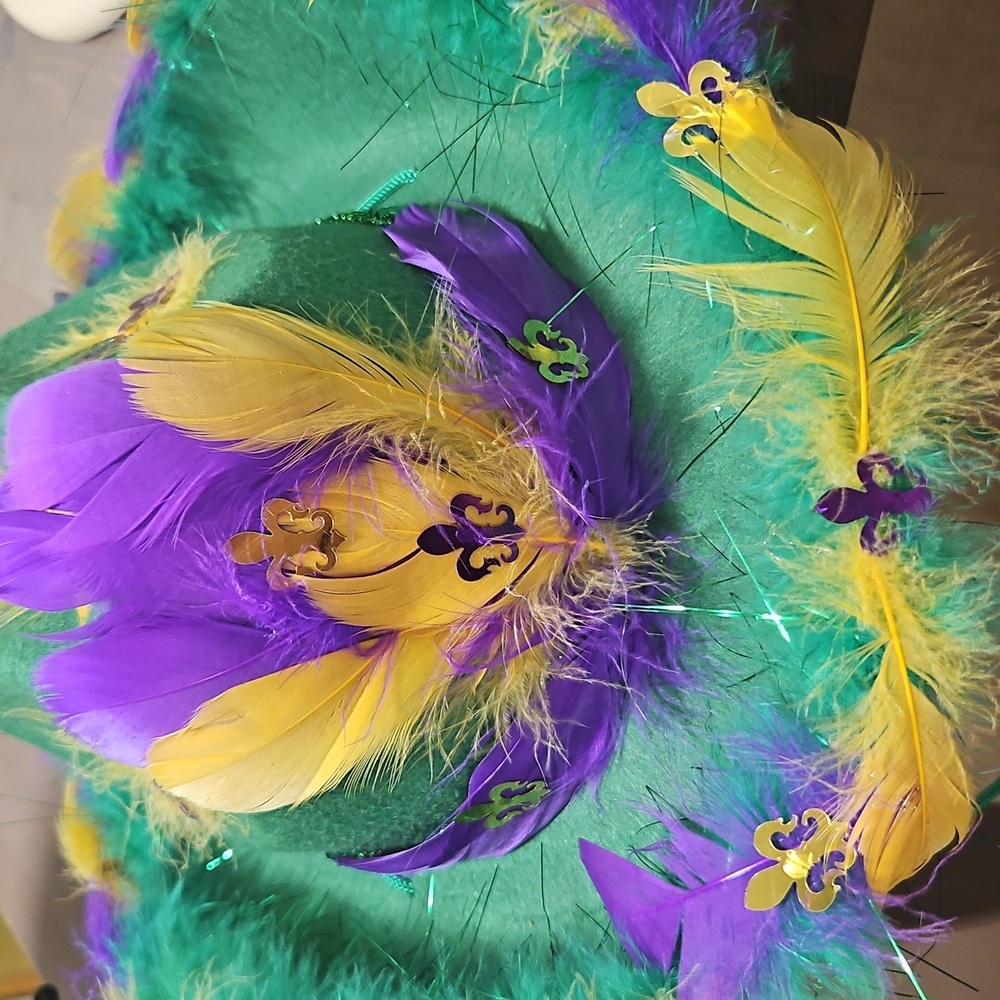 Unisex Mardi Gras Cowboy Hat One Size Fits Most - Picture 9 of 10